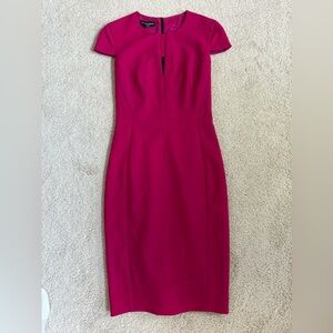 Elegant Narciso Rodriquez Pink Dress size 38